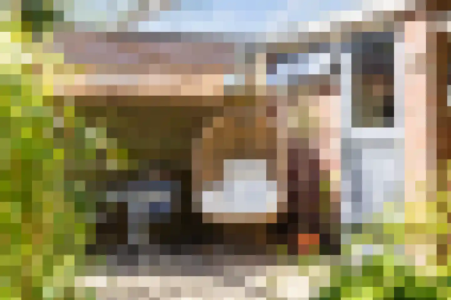 Amsivarilaan 11 Apeldoorn thumbnail 23