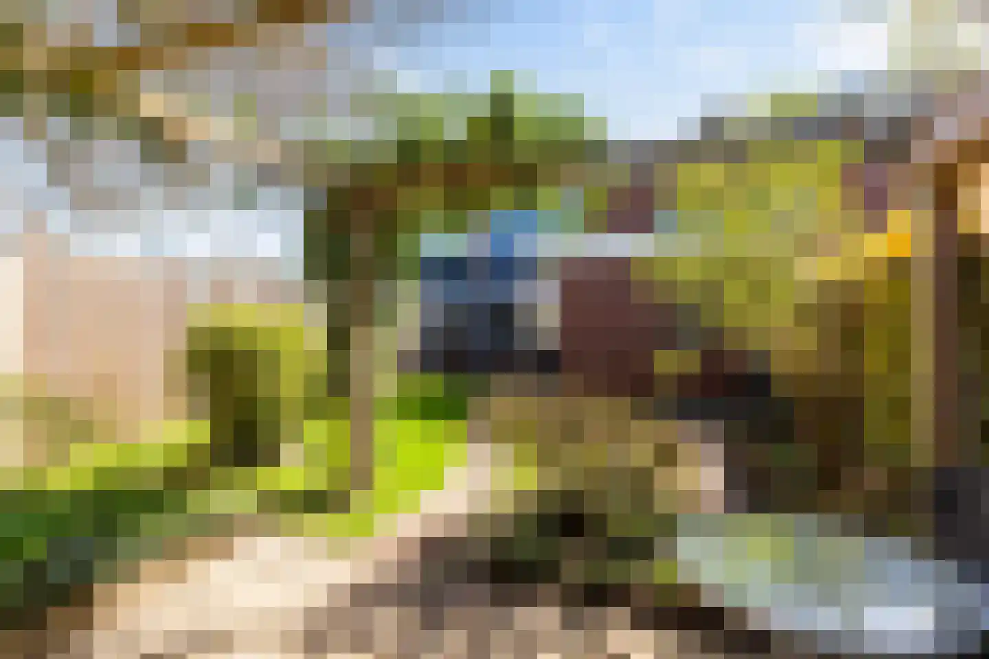 Amsivarilaan 11 Apeldoorn thumbnail 25