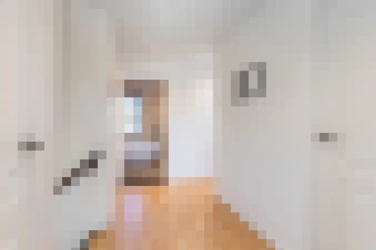 Amsivarilaan 11 Apeldoorn thumbnail 26