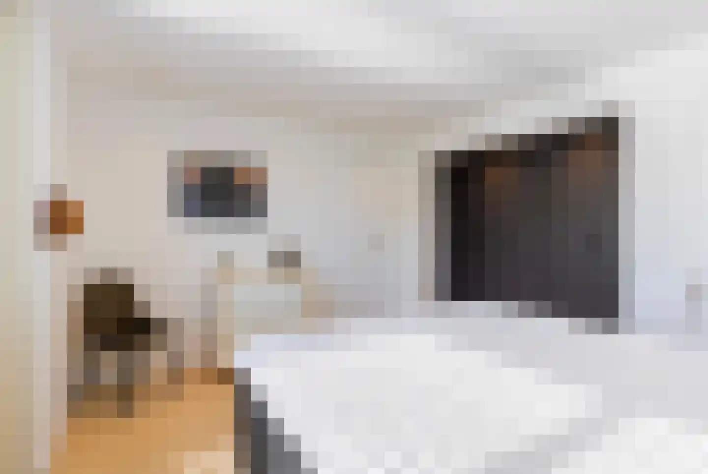 Amsivarilaan 11 Apeldoorn thumbnail 30