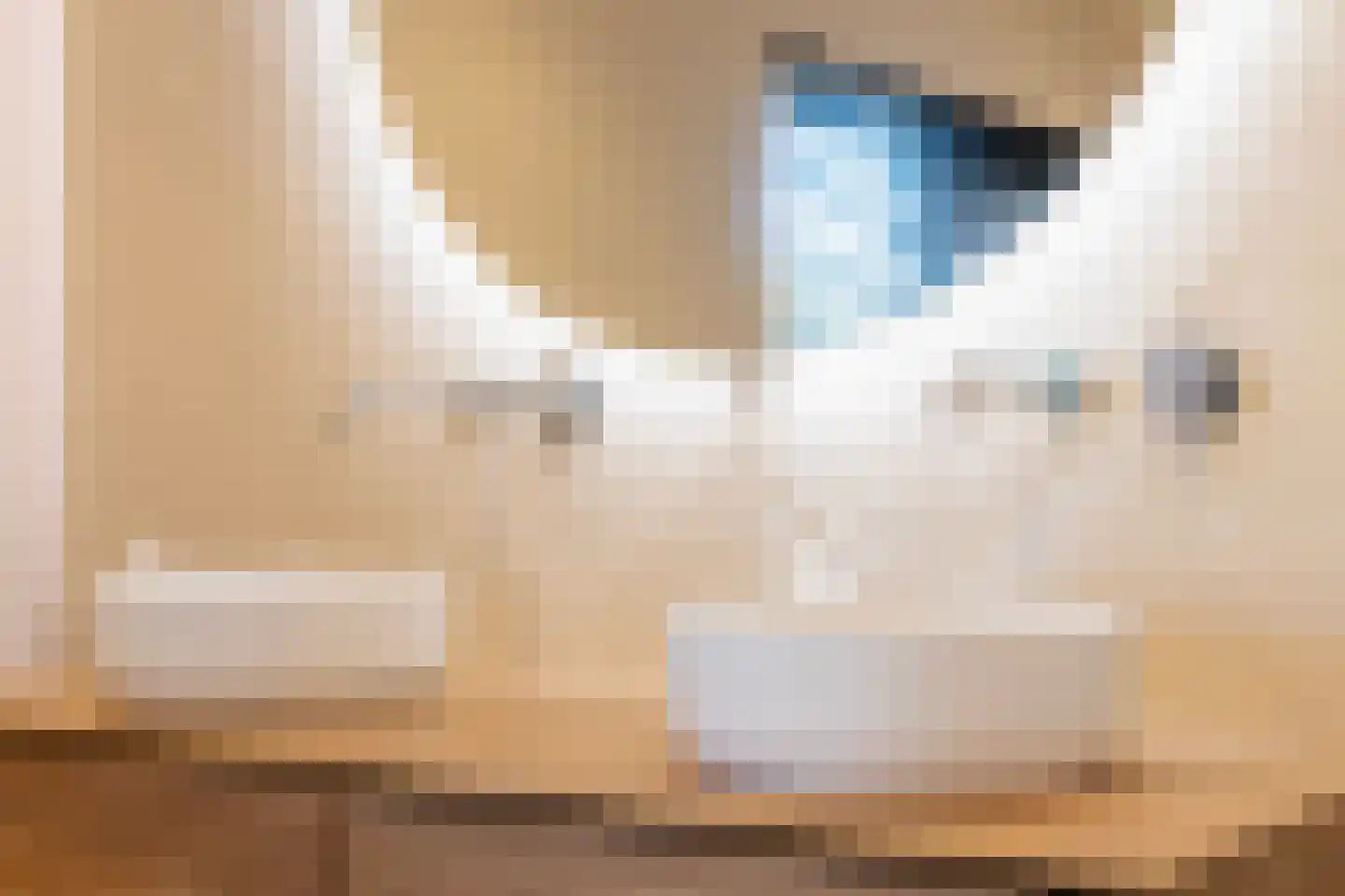 Amsivarilaan 11 Apeldoorn thumbnail 33