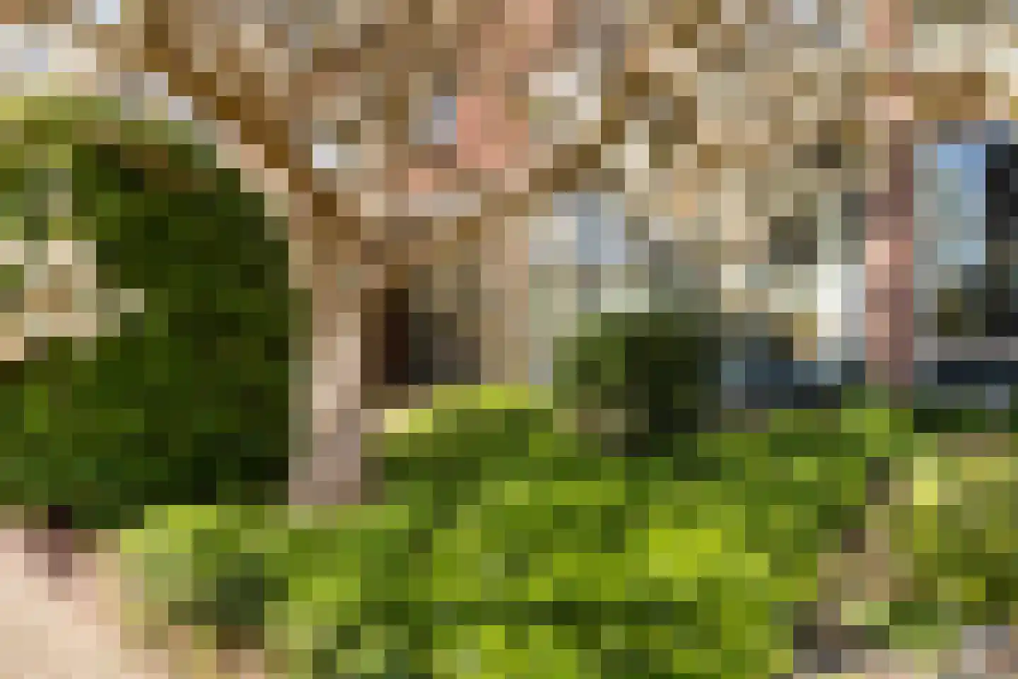 Amsivarilaan 11 Apeldoorn thumbnail 4