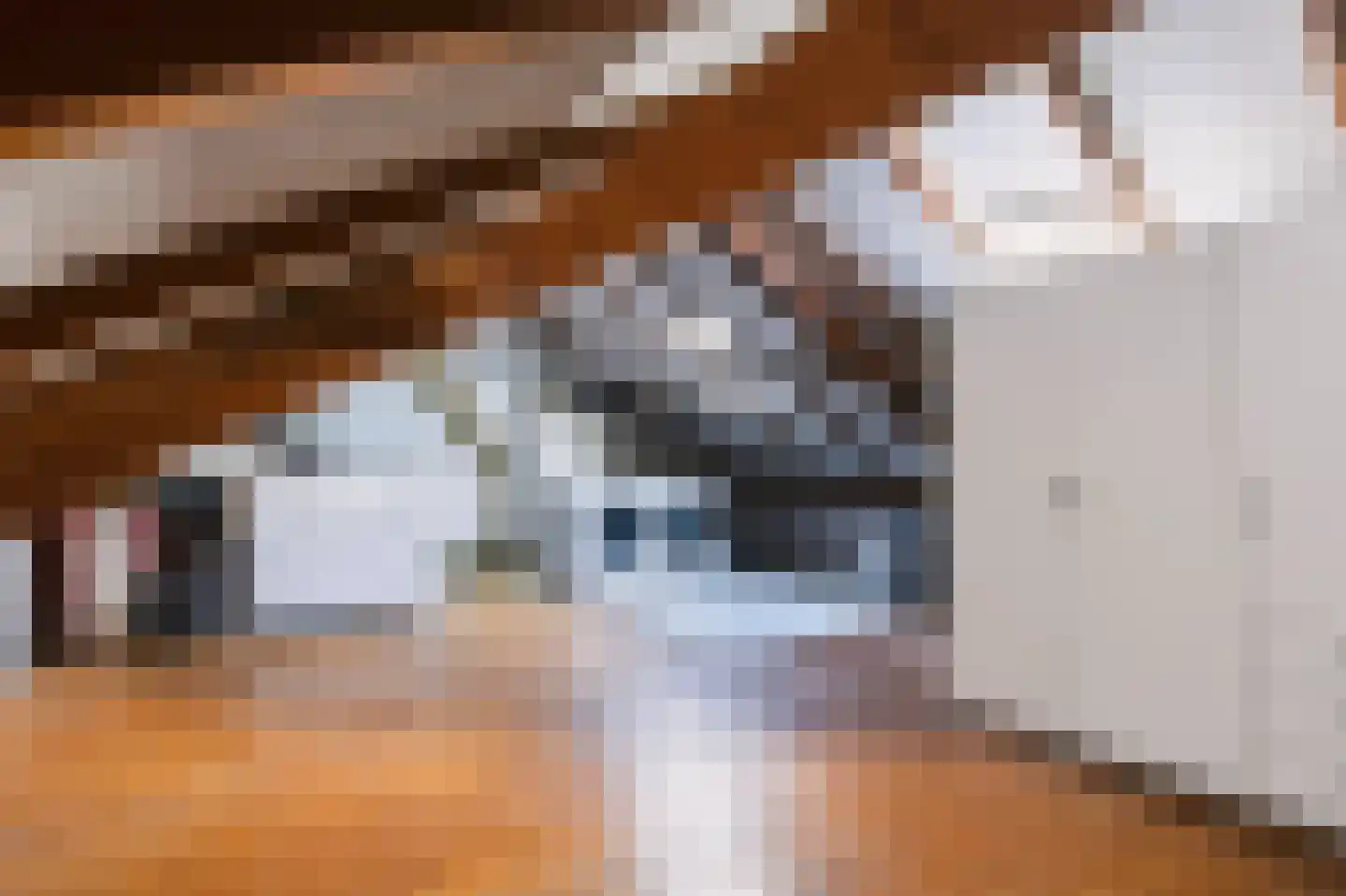 Amsivarilaan 3 Apeldoorn thumbnail 26