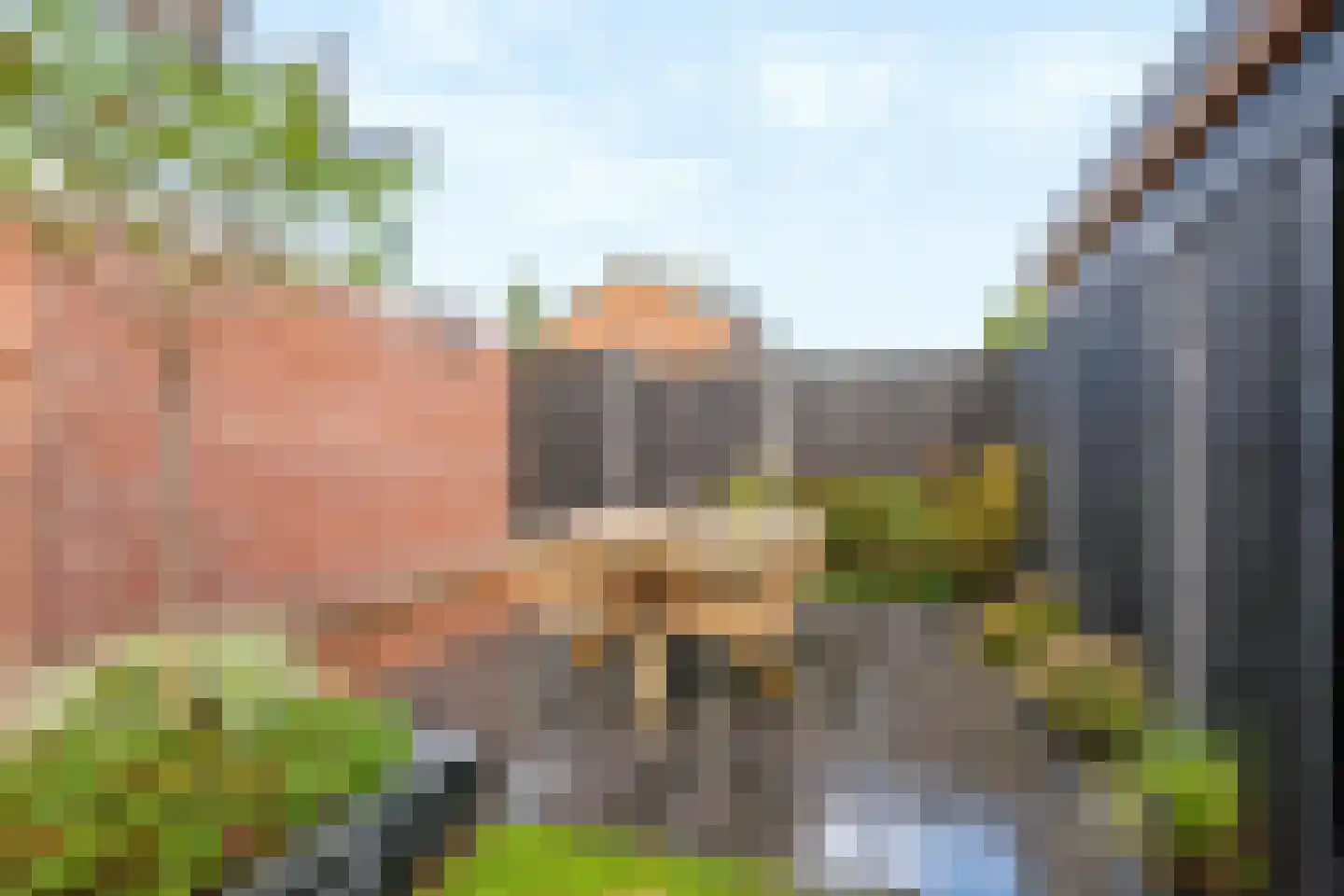 Amsivarilaan 3 Apeldoorn thumbnail 31