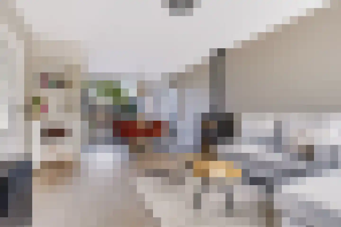 Amsivarilaan 3 Apeldoorn thumbnail 4