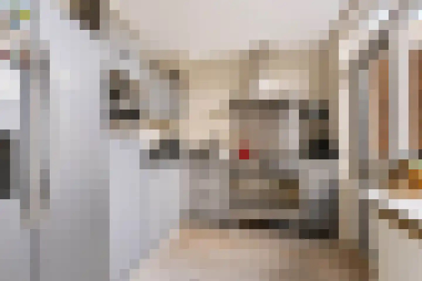 Amsivarilaan 3 Apeldoorn thumbnail 8