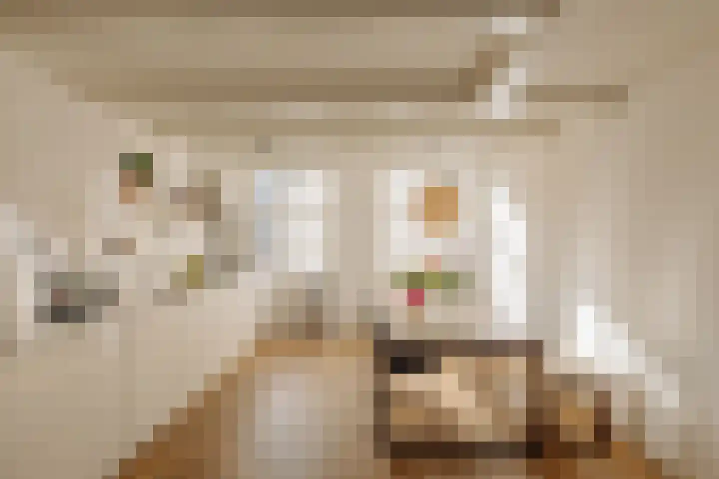 Amstel 106 C Amsterdam thumbnail 12