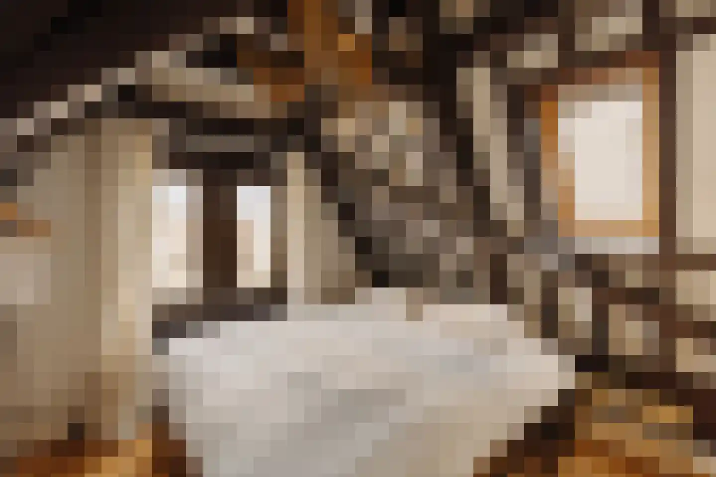 Amstel 106 C Amsterdam thumbnail 13