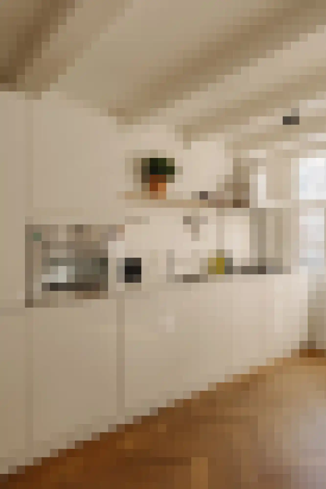 Amstel 106 C Amsterdam thumbnail 14
