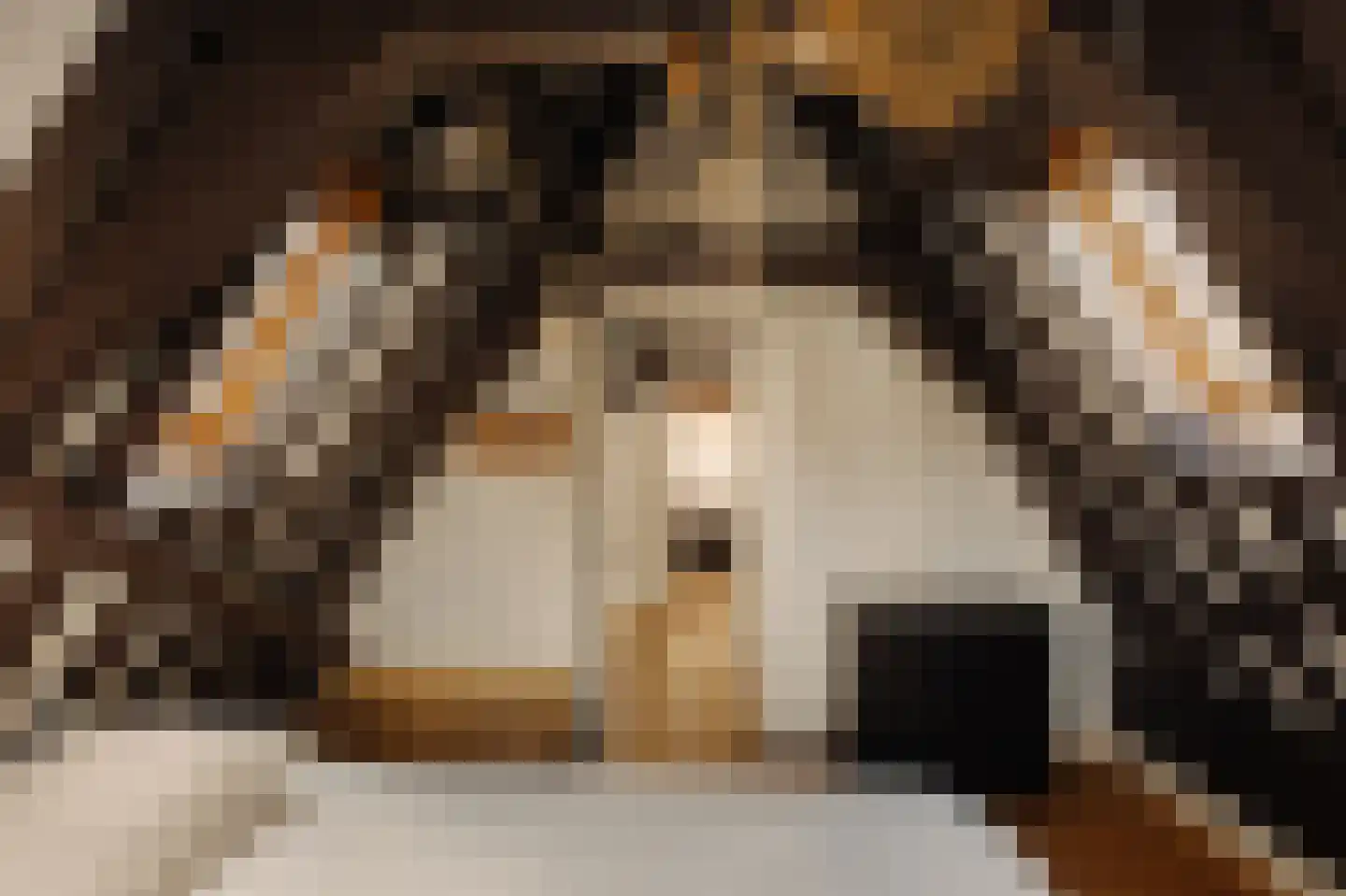 Amstel 106 C Amsterdam thumbnail 15