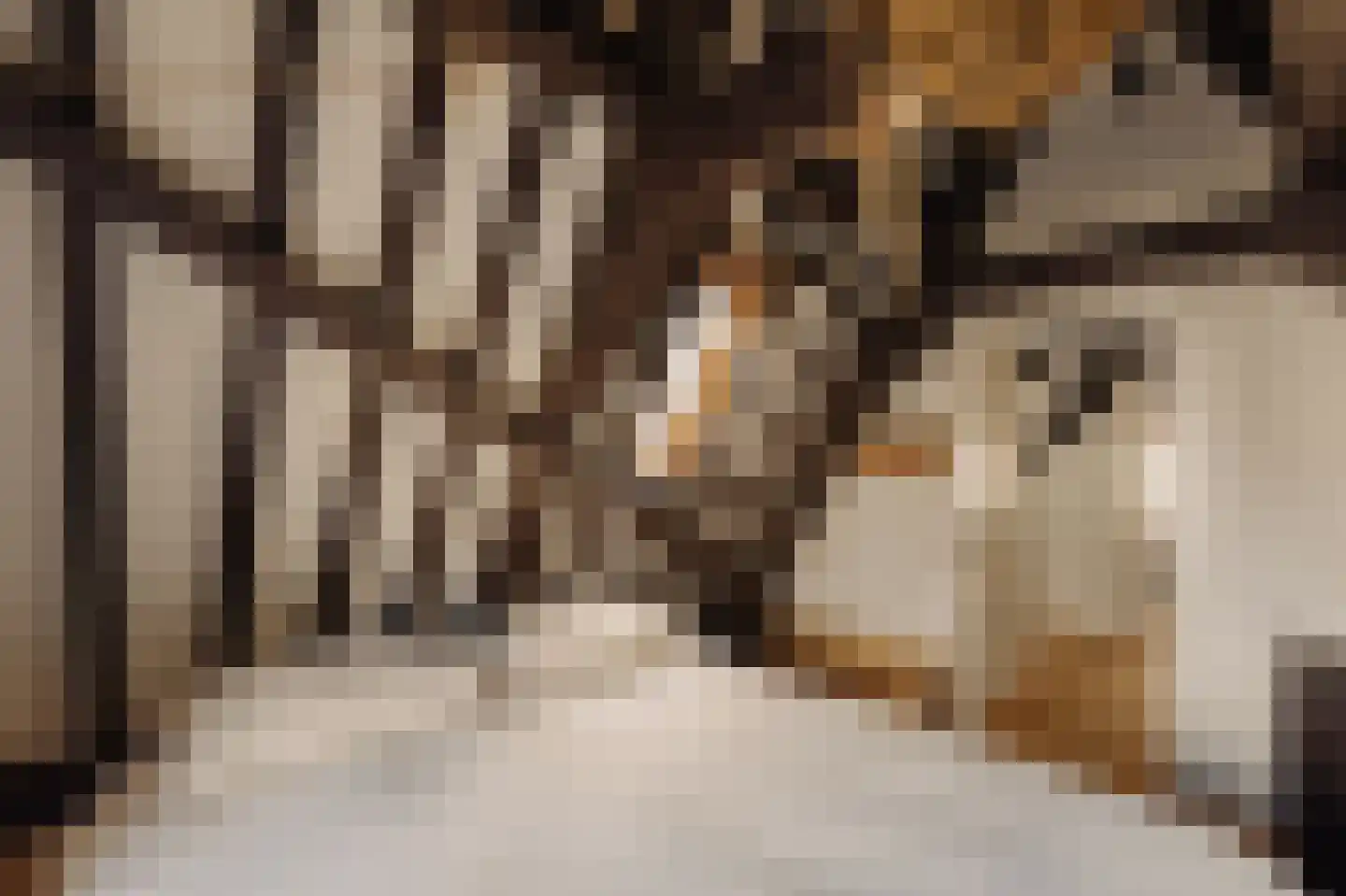 Amstel 106 C Amsterdam thumbnail 16