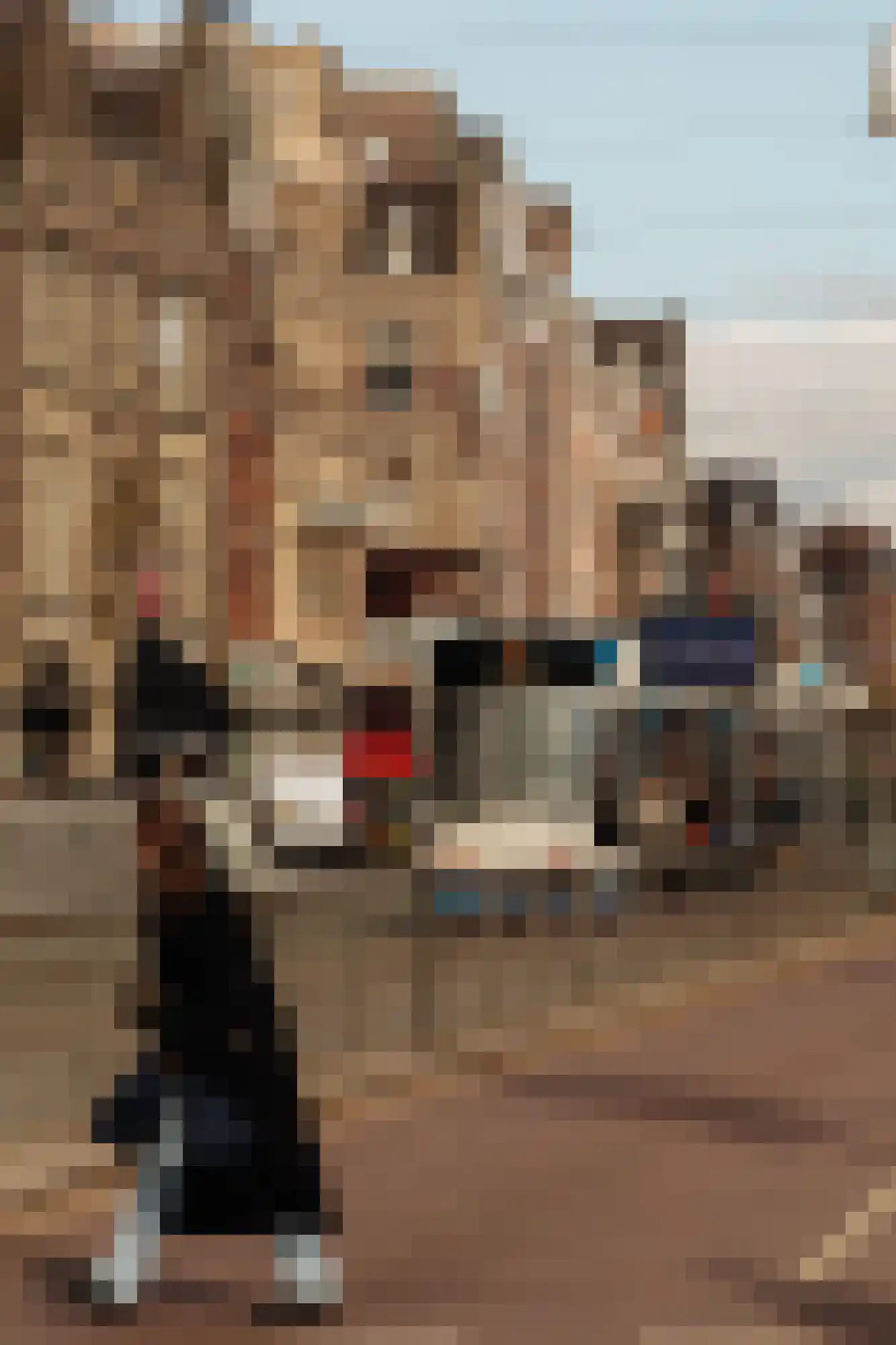 Amstel 106 C Amsterdam thumbnail 27