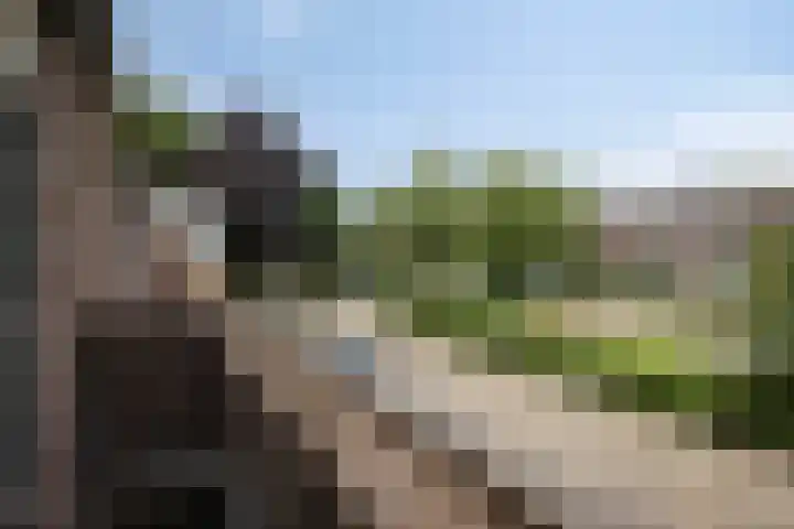 Amstel 11 Waalwijk thumbnail 20