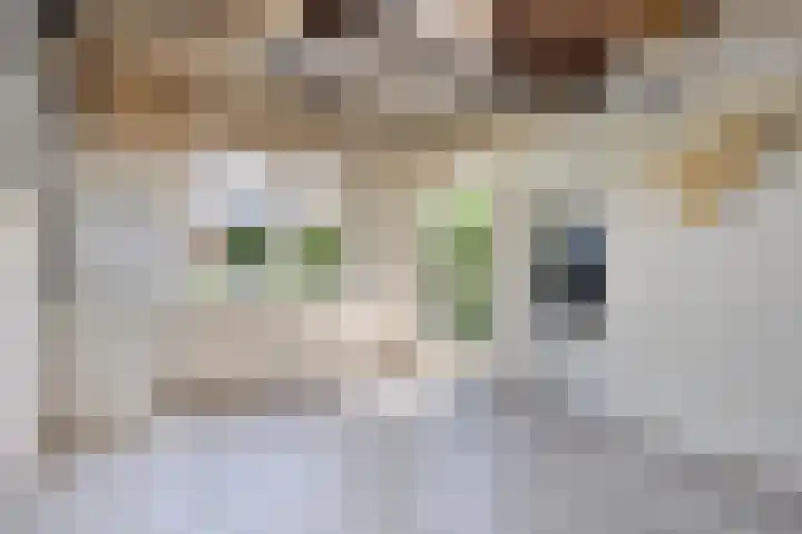 Amstel 11 Waalwijk thumbnail 30