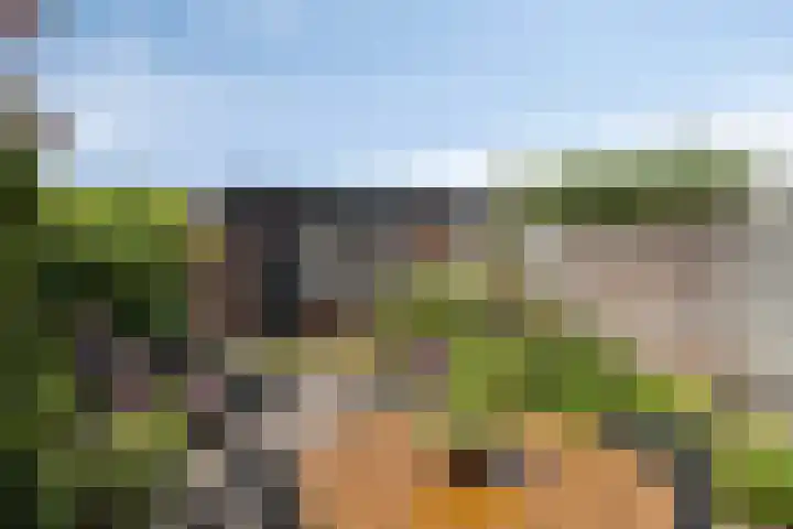 Amstel 11 Waalwijk thumbnail 34