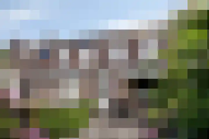 Amstel 11 Waalwijk thumbnail 35