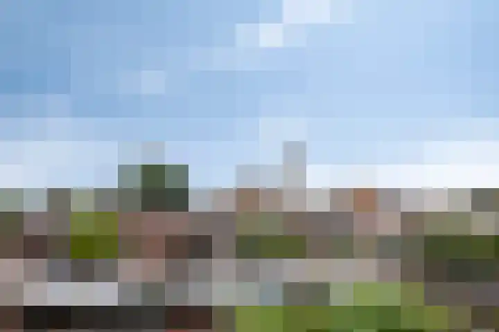 Amstel 11 Waalwijk thumbnail 42