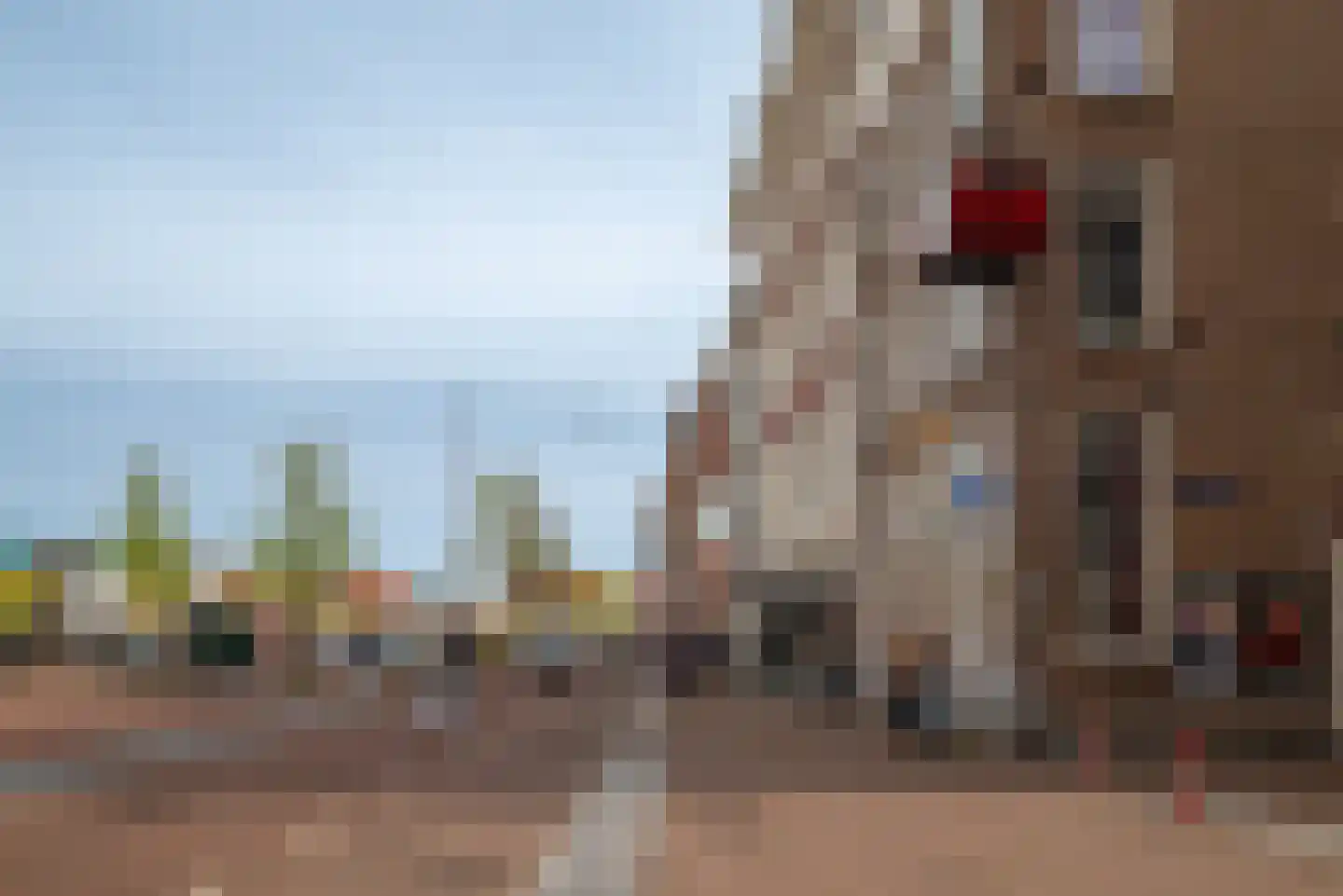Amstel 116 A Amsterdam thumbnail 28