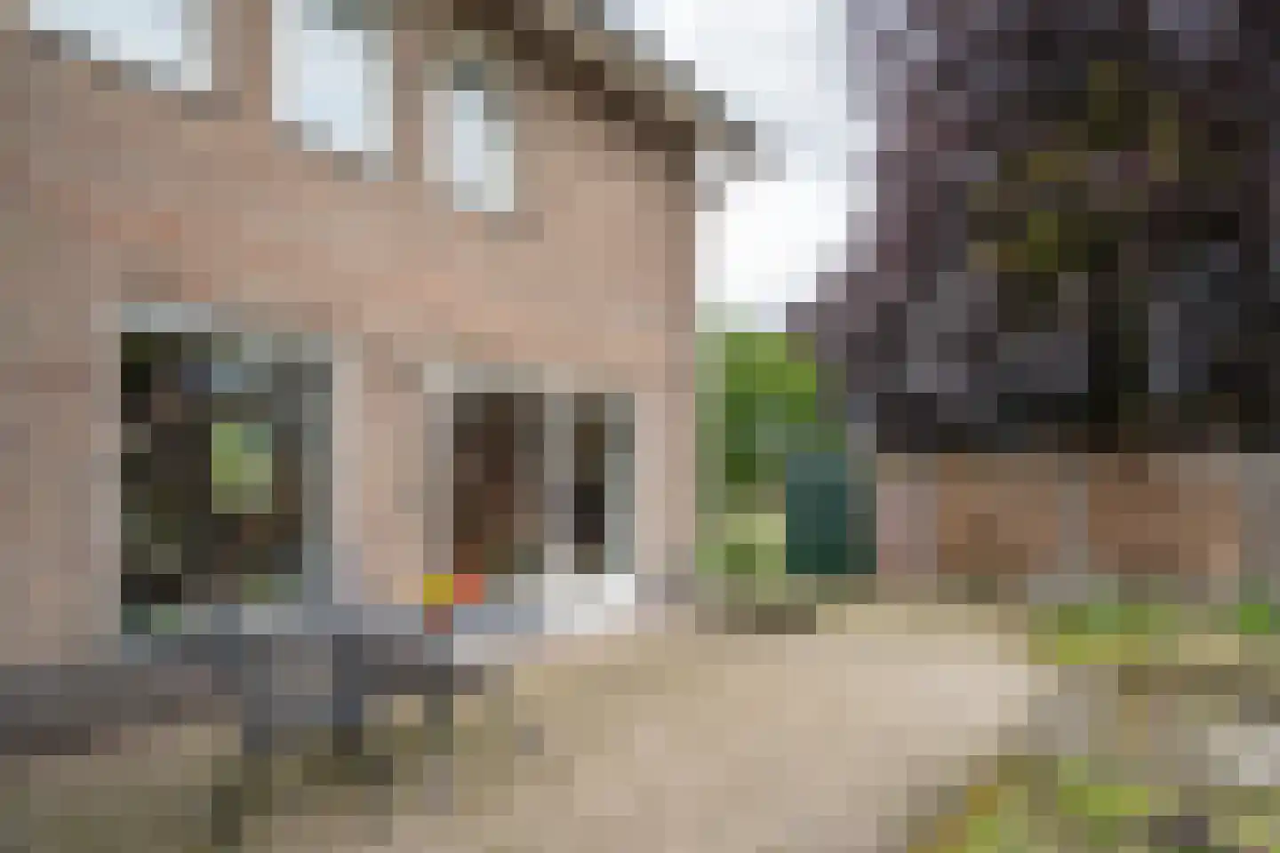 Amstel 14 Deurne thumbnail 26