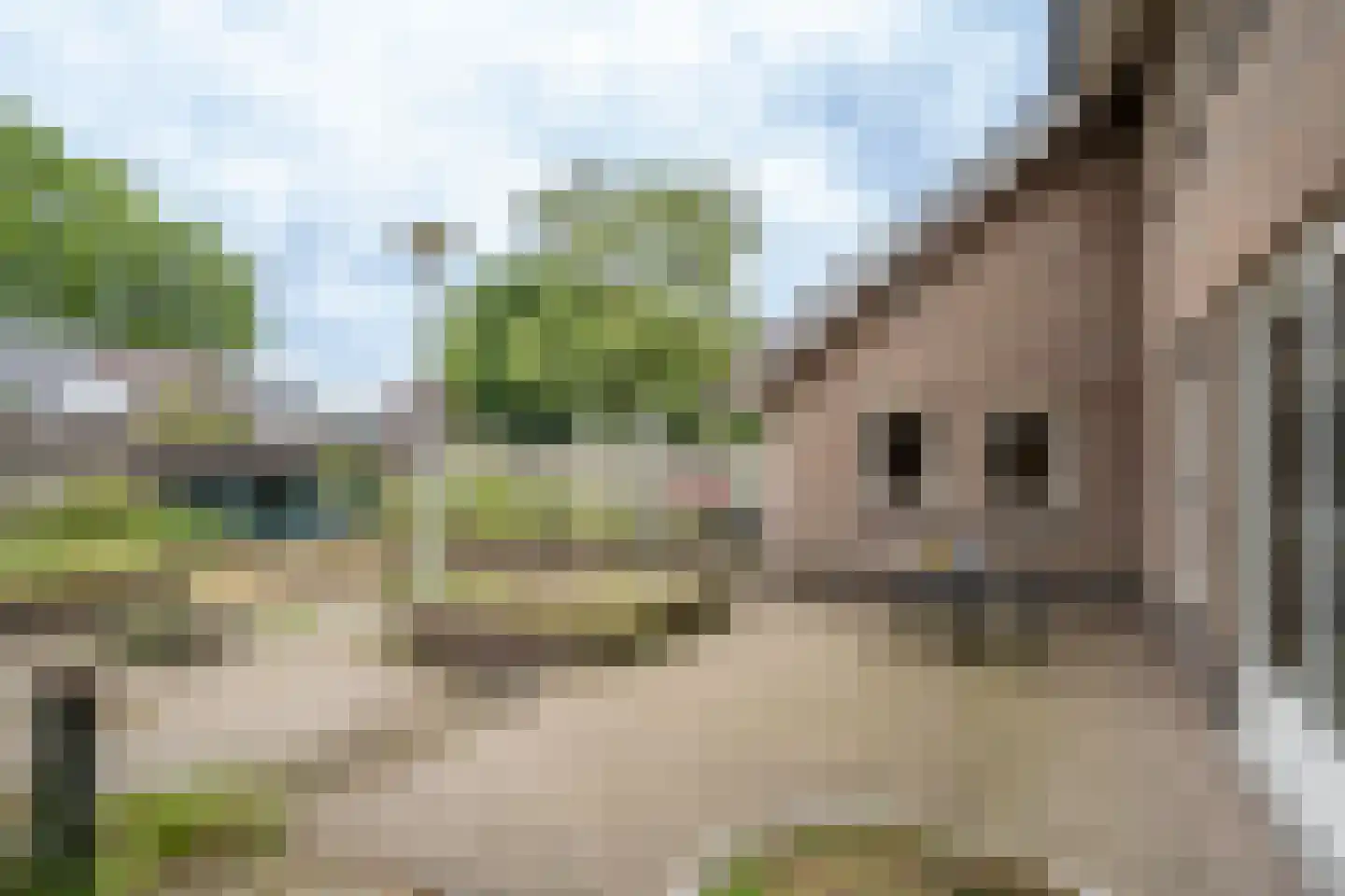 Amstel 14 Deurne thumbnail 27