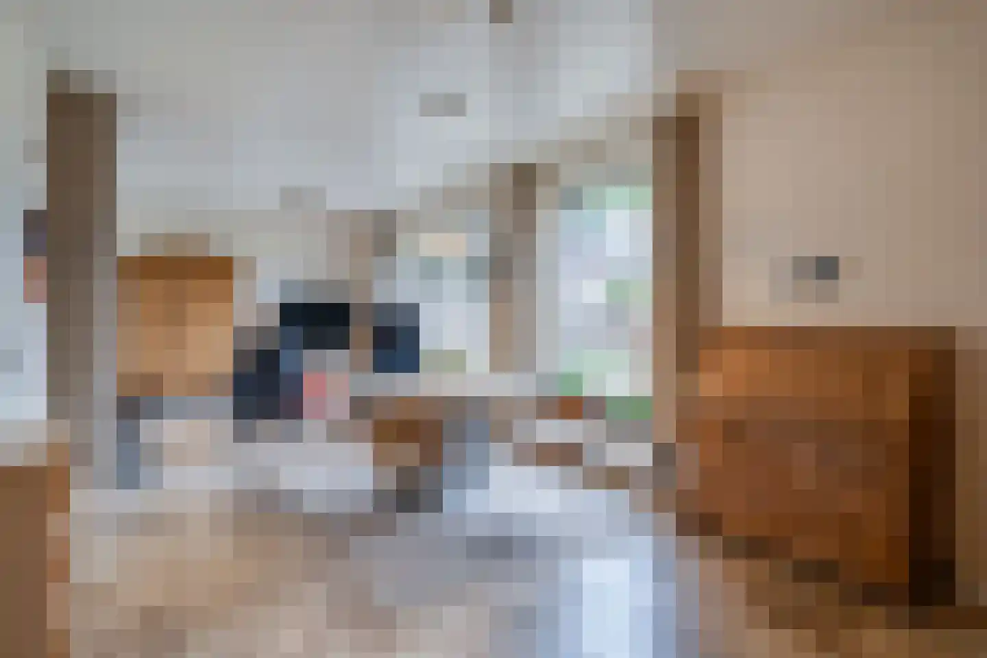 Amstel 14 Deurne thumbnail 8