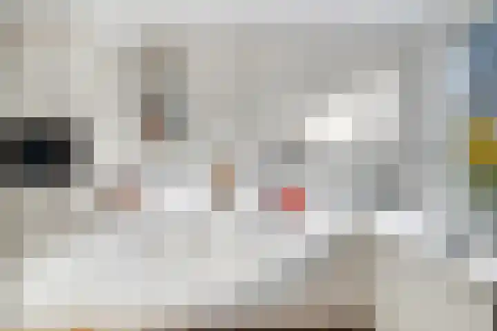 Amstel 156 Wijk bij Duurstede thumbnail 15