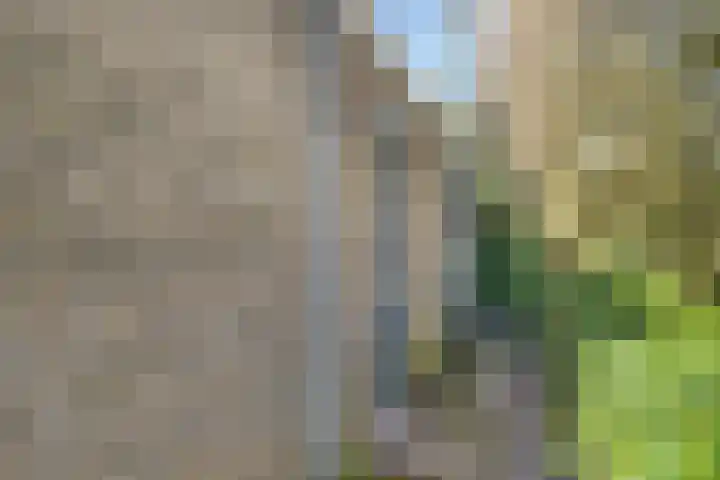 Amstel 156 Wijk bij Duurstede thumbnail 25