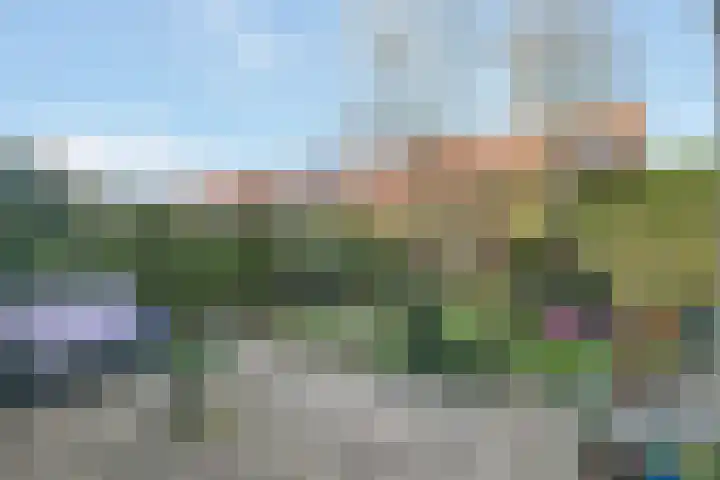 Amstel 156 Wijk bij Duurstede thumbnail 26