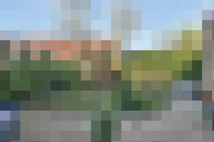 Amstel 156 Wijk bij Duurstede thumbnail 27