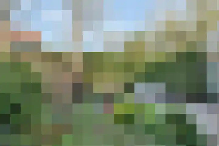 Amstel 156 Wijk bij Duurstede thumbnail 28