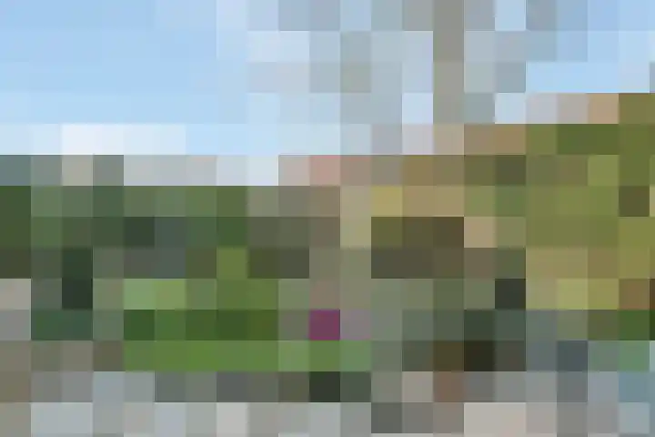Amstel 156 Wijk bij Duurstede thumbnail 30