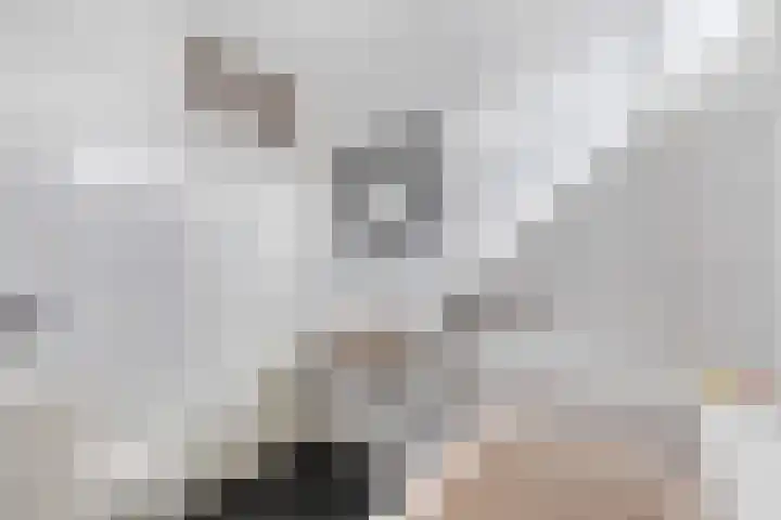 Amstel 156 Wijk bij Duurstede thumbnail 35