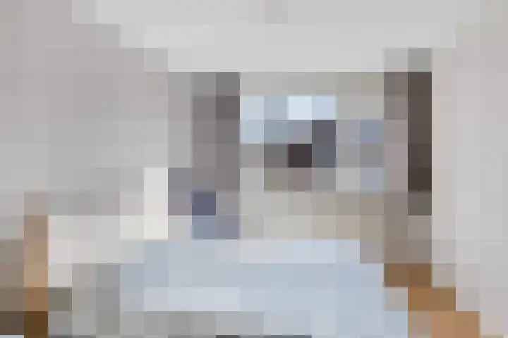 Amstel 156 Wijk bij Duurstede thumbnail 36