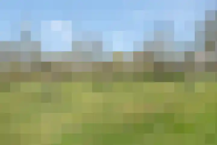 Amstel 156 Wijk bij Duurstede thumbnail 50