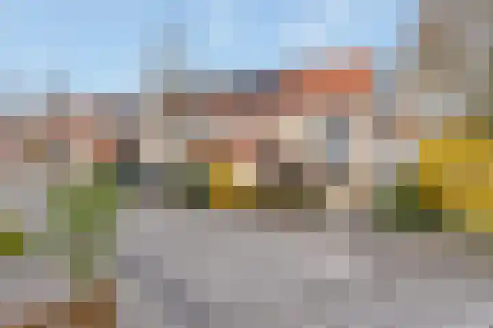 Amstel 156 Wijk bij Duurstede thumbnail 56