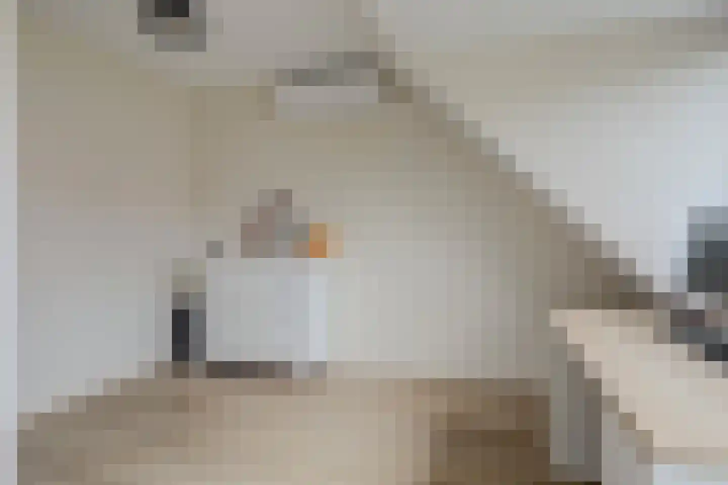 Amstel 170 Wijk bij Duurstede thumbnail 17