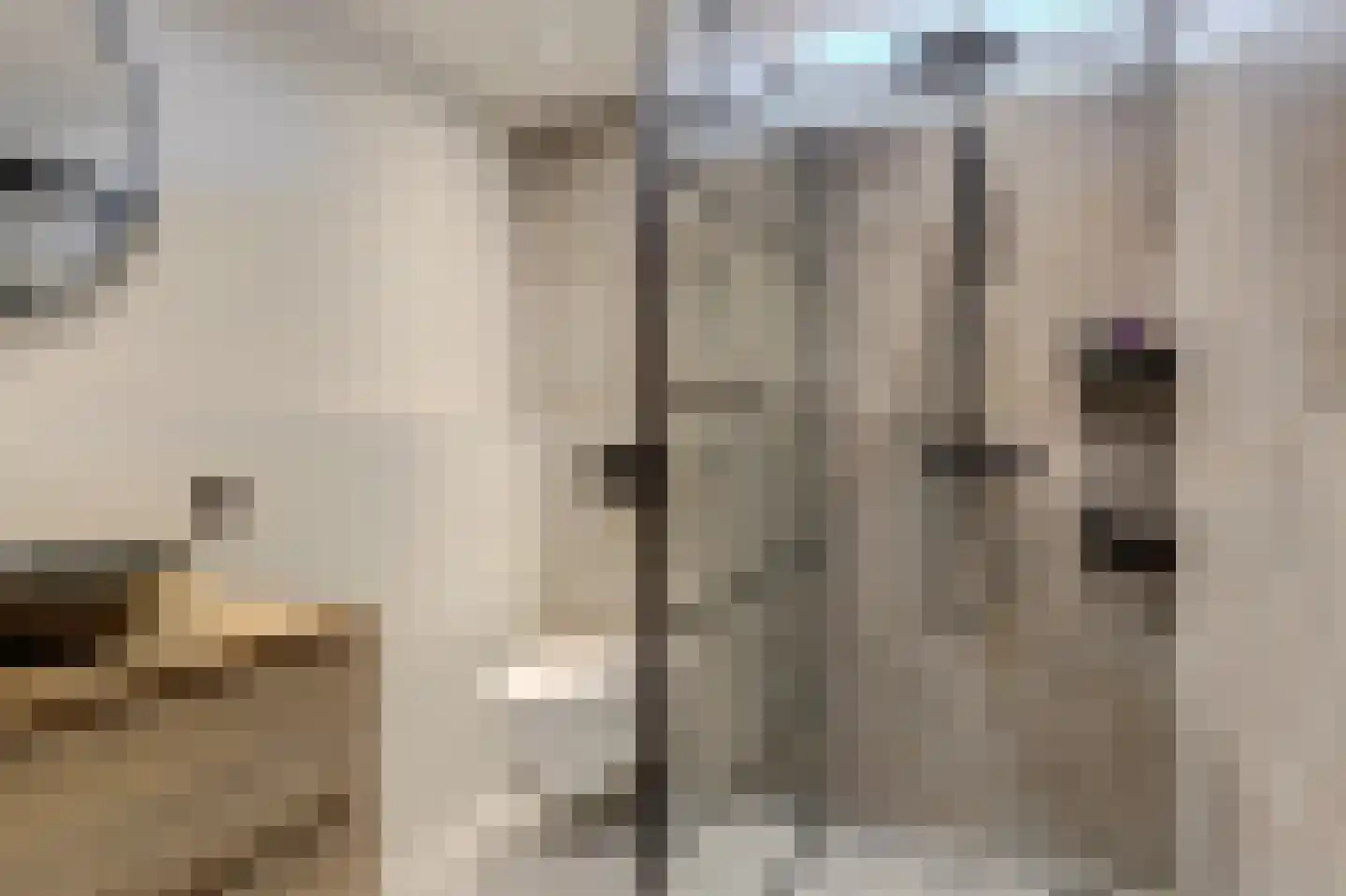 Amstel 170 Wijk bij Duurstede thumbnail 19