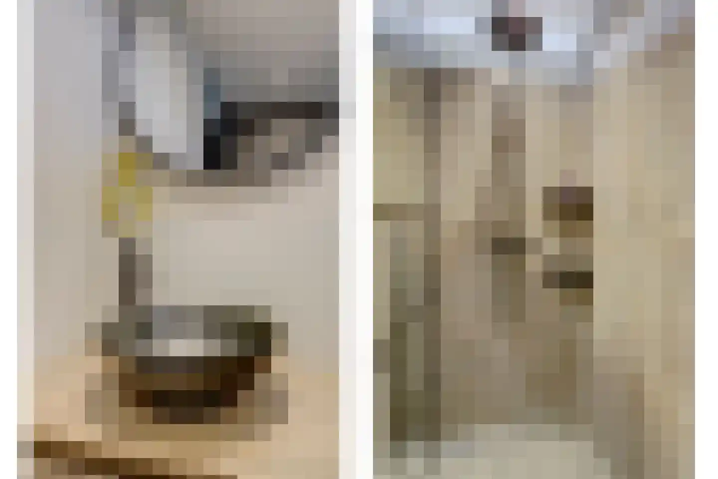 Amstel 170 Wijk bij Duurstede thumbnail 20