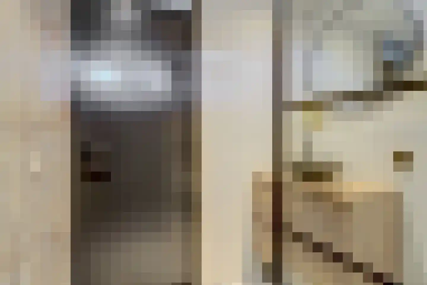 Amstel 170 Wijk bij Duurstede thumbnail 21