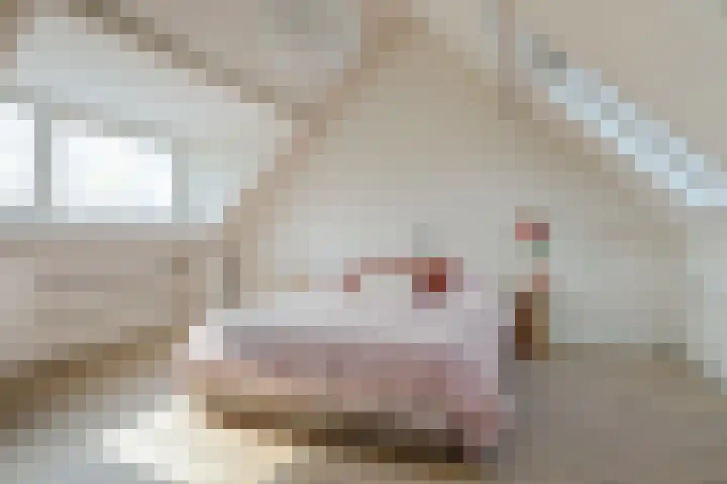 Amstel 170 Wijk bij Duurstede thumbnail 24