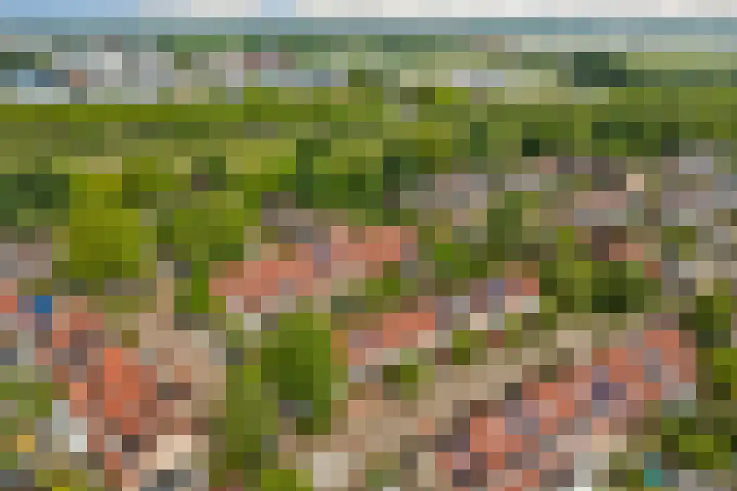Amstel 170 Wijk bij Duurstede thumbnail 38
