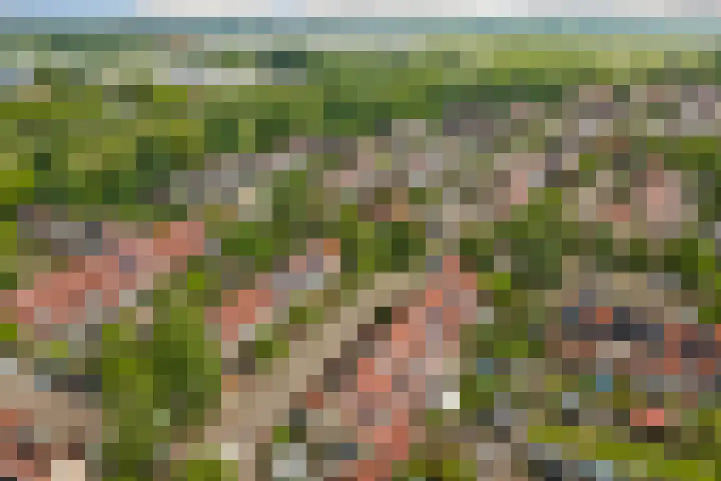 Amstel 170 Wijk bij Duurstede thumbnail 39