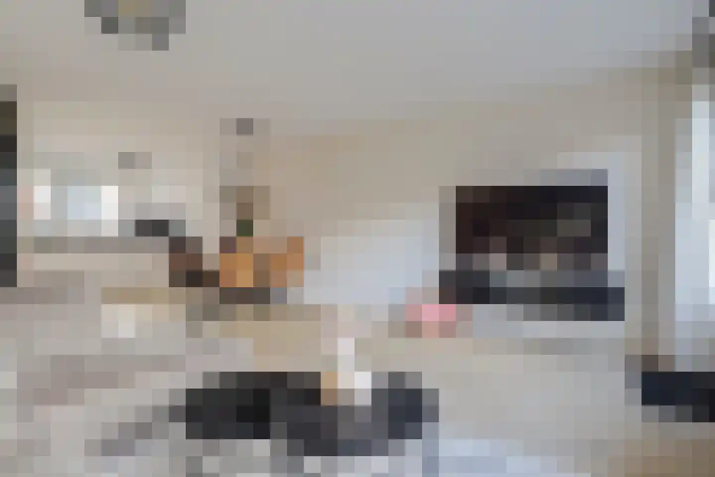 Amstel 170 Wijk bij Duurstede thumbnail 4