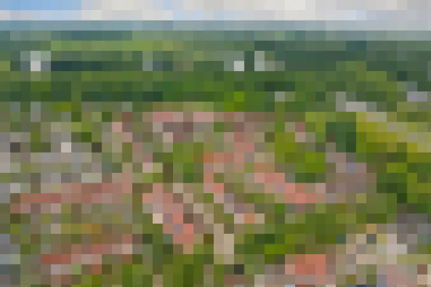 Amstel 170 Wijk bij Duurstede thumbnail 40