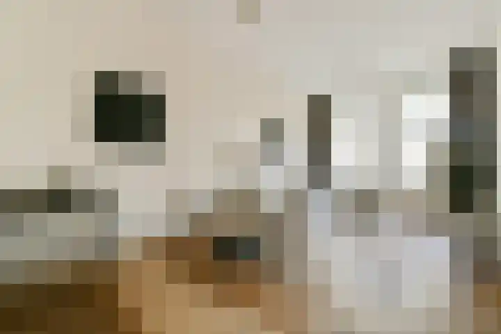 Amstel 182 A Amsterdam thumbnail 8