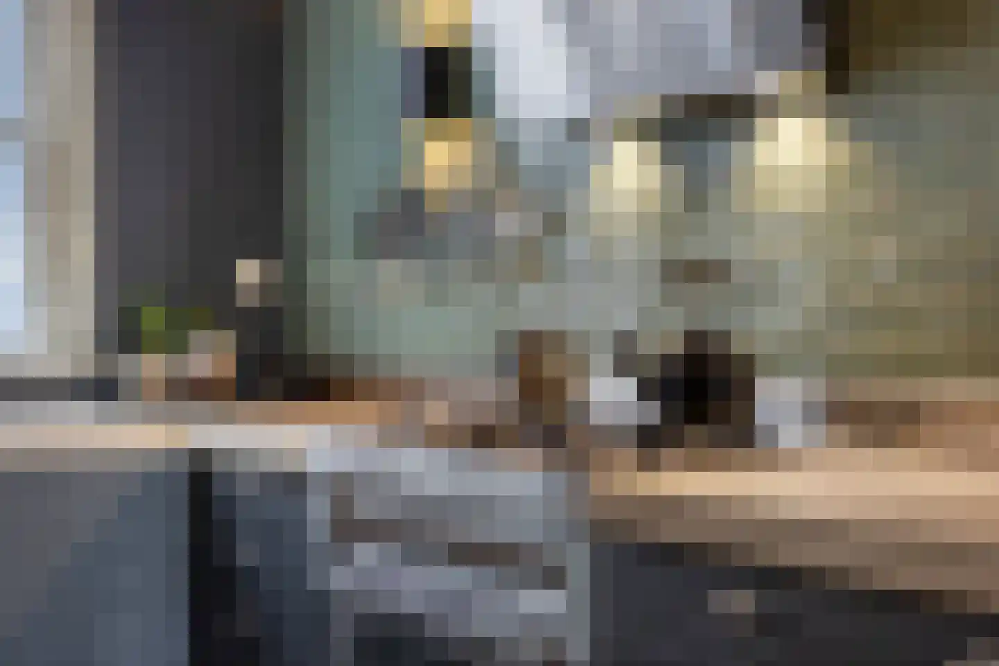 Amstel 184 1 Amsterdam thumbnail 21