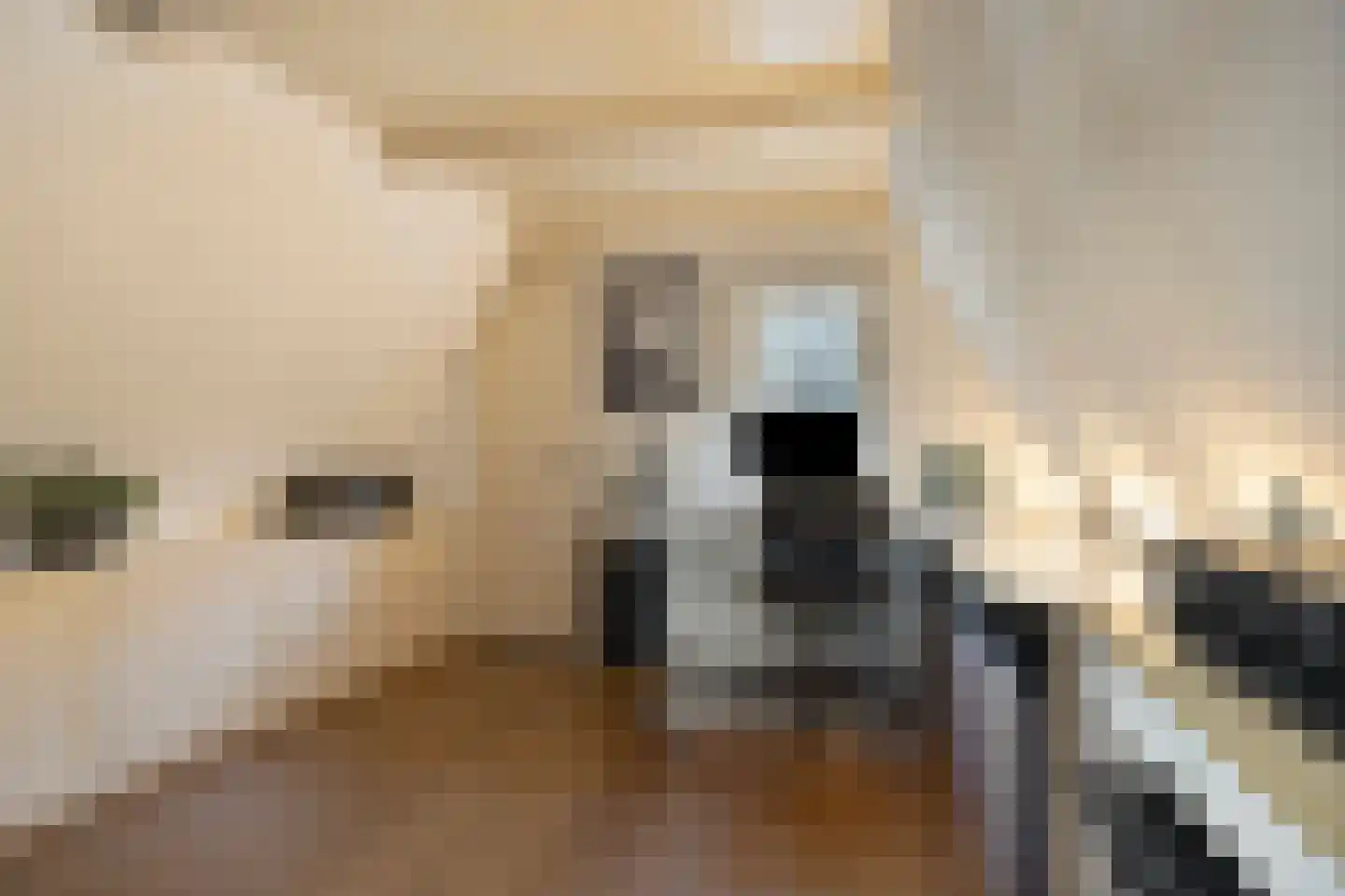 Amstel 184 H Amsterdam thumbnail 32
