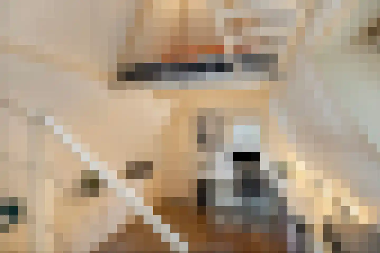 Amstel 184 H Amsterdam thumbnail 33