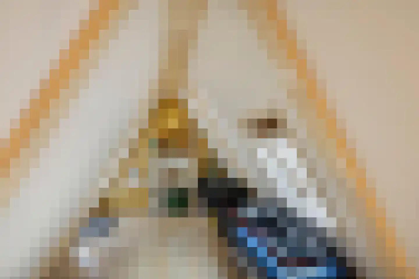 Amstel 184 H Amsterdam thumbnail 36