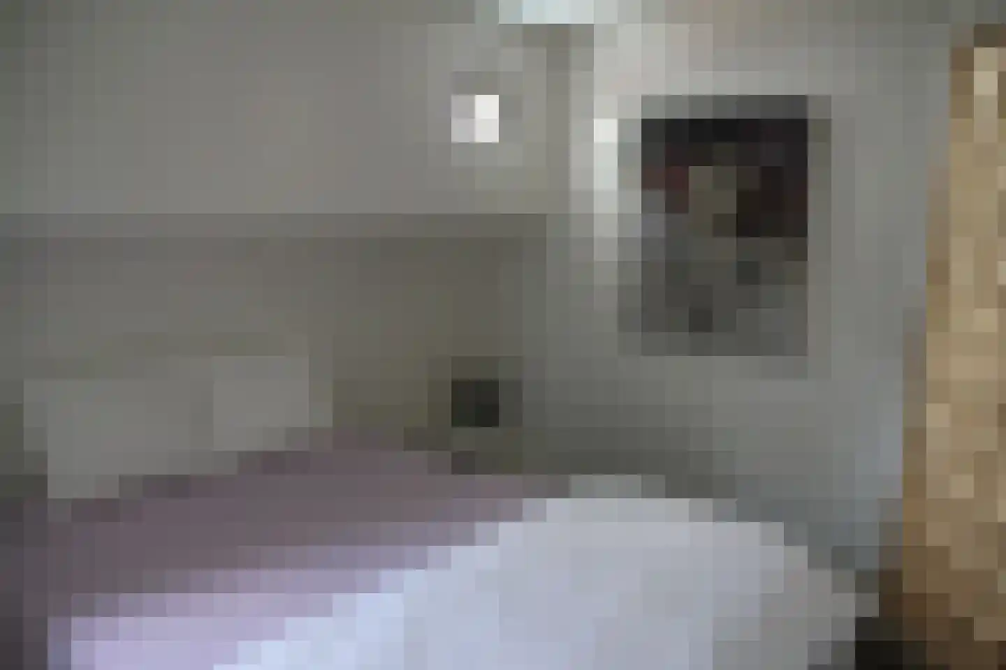 Amstel 19 Amsterdam thumbnail 11